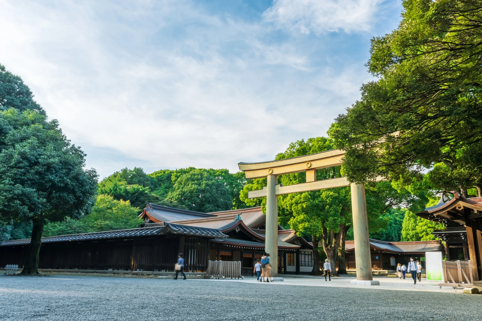 Torii dan bangunan kuil dibingkai pepohonan hijau di Meiji Jingu, Tokyo